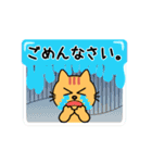 とらねこトラちゃん（個別スタンプ：19）