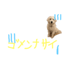 グレピ琥珀スタンプ2（個別スタンプ：1）
