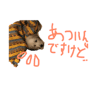 グレピ琥珀スタンプ2（個別スタンプ：8）
