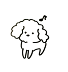 トイプードルのロビン（個別スタンプ：1）
