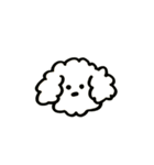 トイプードルのロビン（個別スタンプ：4）