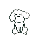 トイプードルのロビン（個別スタンプ：9）