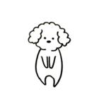 トイプードルのロビン（個別スタンプ：12）