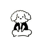 トイプードルのロビン（個別スタンプ：16）