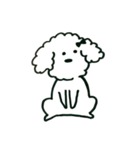 トイプードルのロビン（個別スタンプ：23）
