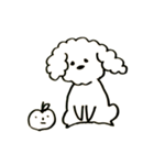 トイプードルのロビン（個別スタンプ：25）