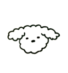 トイプードルのロビン（個別スタンプ：27）