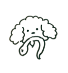 トイプードルのロビン（個別スタンプ：29）