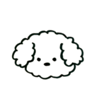 トイプードルのロビン（個別スタンプ：31）