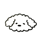 トイプードルのロビン（個別スタンプ：32）