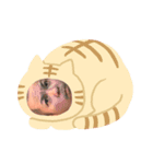 ぽこたもん（個別スタンプ：4）