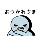 ペンギン くん（個別スタンプ：17）