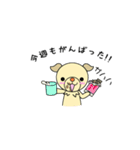 うちのワンコ  チワックス(遊ぼうver.)（個別スタンプ：4）