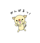うちのワンコ  チワックス(遊ぼうver.)（個別スタンプ：6）