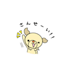 うちのワンコ  チワックス(遊ぼうver.)（個別スタンプ：13）