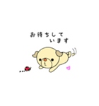 うちのワンコ  チワックス(遊ぼうver.)（個別スタンプ：35）
