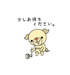 うちのワンコ  チワックス(遊ぼうver.)（個別スタンプ：36）