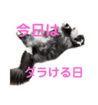 からレオスタンプ（個別スタンプ：7）