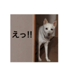 ウメタンの1日   第2弾（個別スタンプ：7）