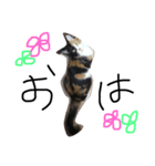 みけねこのちくわ^ ^（個別スタンプ：2）