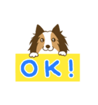 シェルティちゃんスタンプ（個別スタンプ：1）