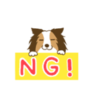 シェルティちゃんスタンプ（個別スタンプ：2）