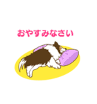 シェルティちゃんスタンプ（個別スタンプ：4）