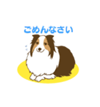 シェルティちゃんスタンプ（個別スタンプ：8）