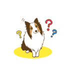 シェルティちゃんスタンプ（個別スタンプ：9）