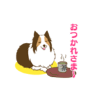 シェルティちゃんスタンプ（個別スタンプ：11）