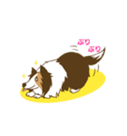 シェルティちゃんスタンプ（個別スタンプ：15）
