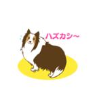 シェルティちゃんスタンプ（個別スタンプ：17）