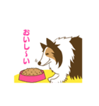 シェルティちゃんスタンプ（個別スタンプ：18）