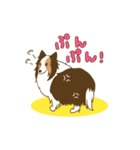 シェルティちゃんスタンプ（個別スタンプ：20）
