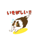 シェルティちゃんスタンプ（個別スタンプ：23）