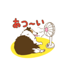 シェルティちゃんスタンプ（個別スタンプ：25）