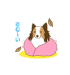 シェルティちゃんスタンプ（個別スタンプ：26）
