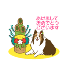 シェルティちゃんスタンプ（個別スタンプ：38）
