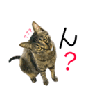 我が家のねこたち！（個別スタンプ：6）
