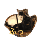 くろねこしろねこ（個別スタンプ：6）