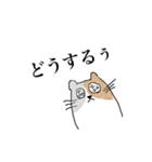 虚無感のねこ（個別スタンプ：6）