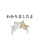 虚無感のねこ（個別スタンプ：35）