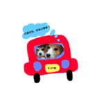 うーちゃんず （犬）（個別スタンプ：1）