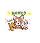 チワワ のゆうくん（個別スタンプ：3）