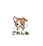 チワワ のゆうくん（個別スタンプ：4）