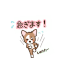 チワワ のゆうくん（個別スタンプ：7）