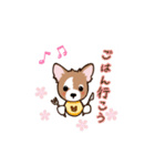 チワワ のゆうくん（個別スタンプ：10）