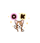 チワワ のゆうくん（個別スタンプ：11）
