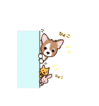 チワワ のゆうくん（個別スタンプ：12）