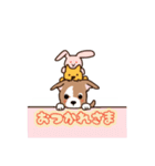 チワワ のゆうくん（個別スタンプ：13）